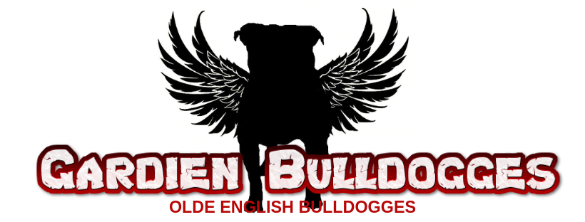 GARDIEN BULLDOGGES